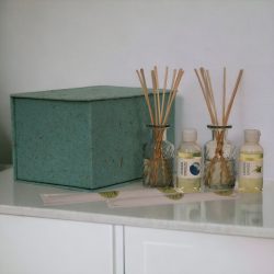 Anka Diffuser Set (Summer)