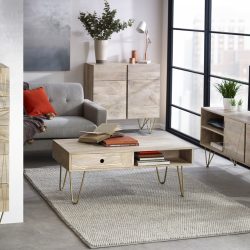 Light Gold Plasma Media Unit