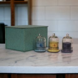 Bell Jar Candle Set (Summer)