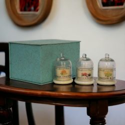 Bell Jar Candle Set of 3 (Fruit)