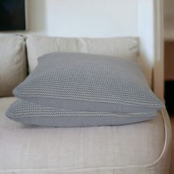 Blue Cotton Cushion Set of 2