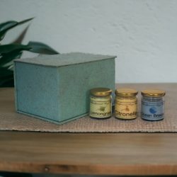 Candle Gift Set of 3 (Summer)