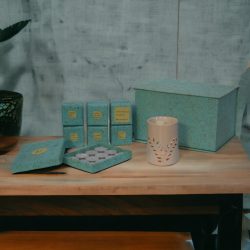 Cut-out Leaf Wax Melter Set (Fruit)