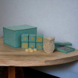 Owl Wax Melter Set (Fruit)